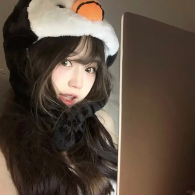 花落莺啼春 封面