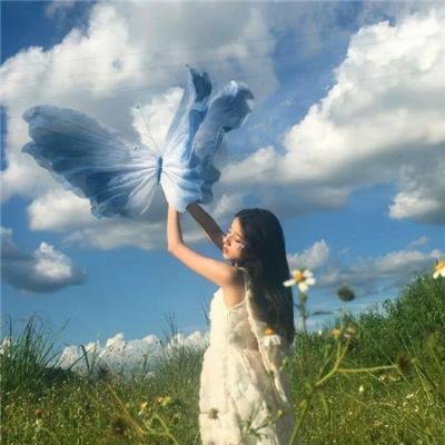 天地不仁 封面